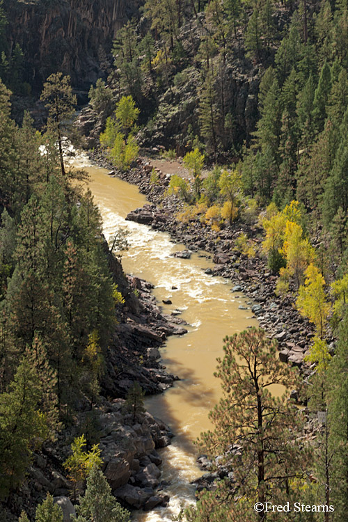 Durango and Silverton Narrow Gauge Railroad Animas River San Juan National Forest